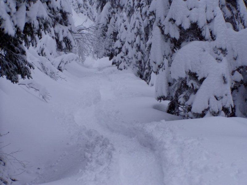 059 Passo Coe Monte&nbsp;Maggio