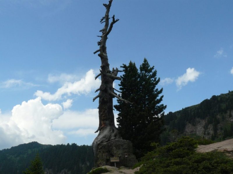 727 Il centenario,&nbsp;l’eterno