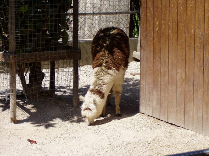 079 Parco Naturalistico&nbsp;Cappeller