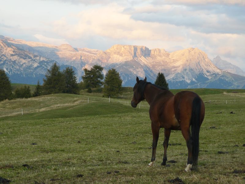 091 Amore d’Alpinismo