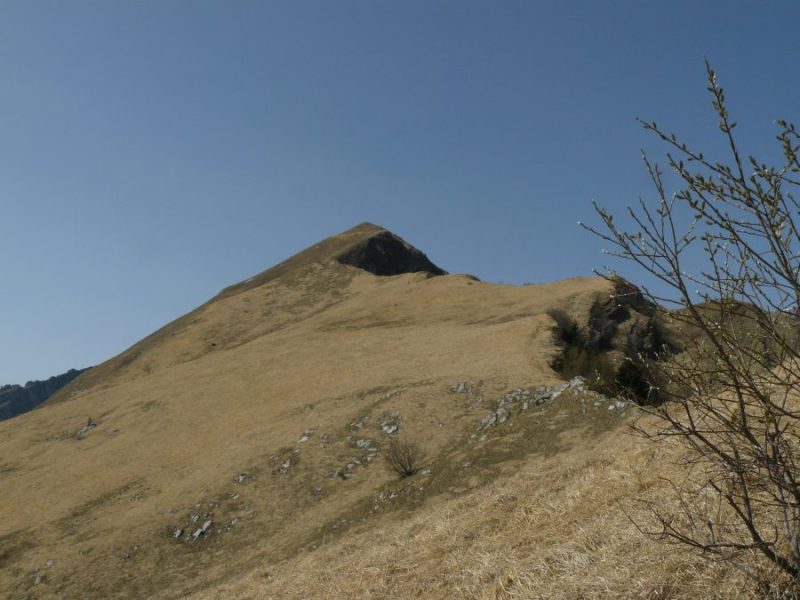 Clicca per commentare