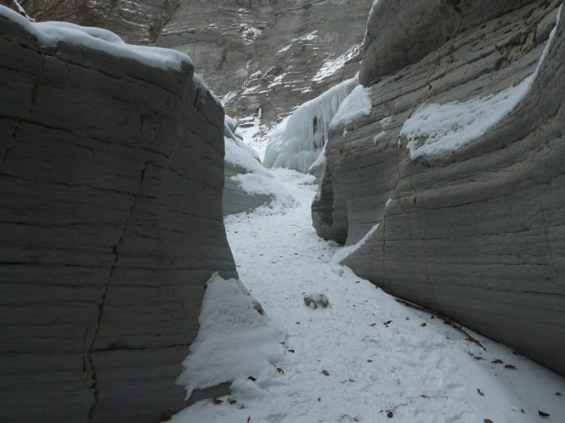 144 Il Brent de&nbsp;l’Art