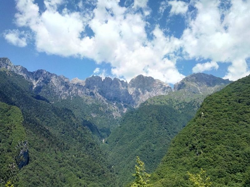 161 dal Col di Roanza a Casera i Ronch 