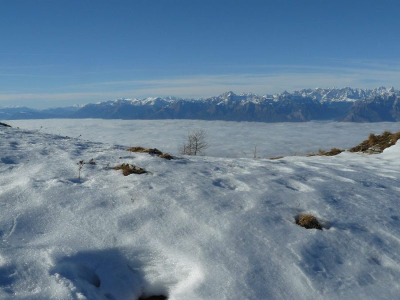 189 Natale 2016 – La Traccia, Escursioni e Viaggi