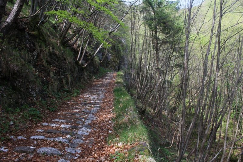 207 la strada del&nbsp;legno,