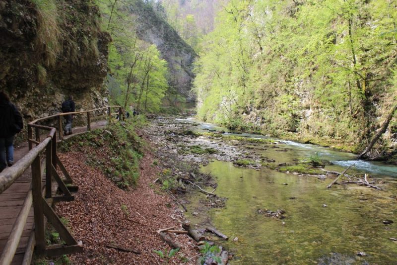 211 Geo parco gola di&nbsp;Vintgar