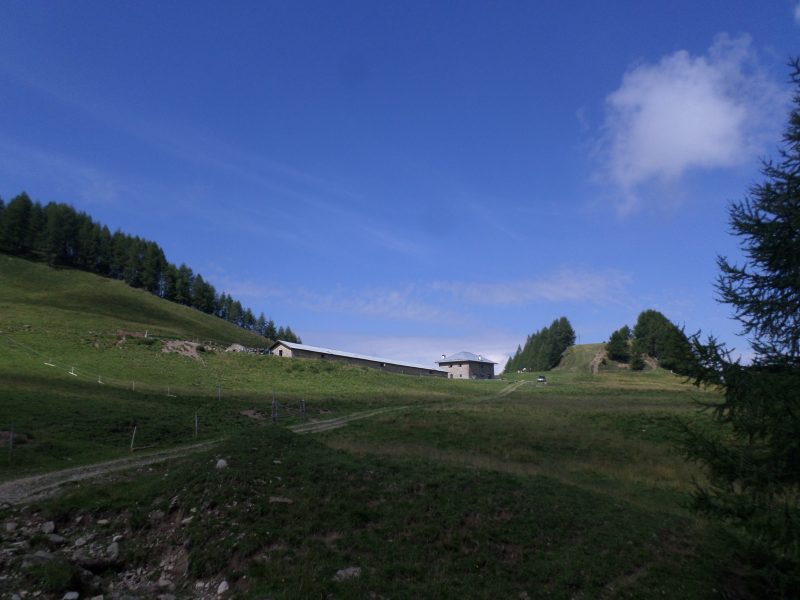 248 malga Doana e Col&nbsp;Rosolo