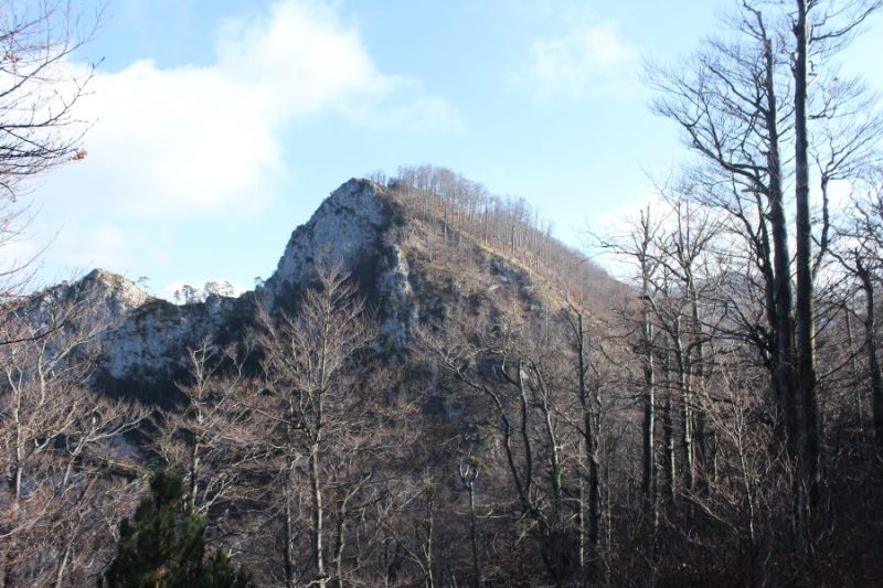 271 Monte Poldanovec