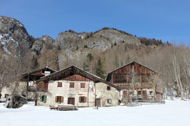 290 i Masi di&nbsp;Arsiera