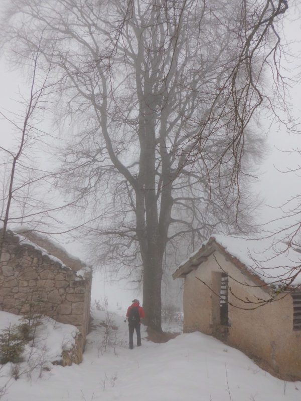 297 alle case Saladen, dalla Val&nbsp;Canzoi