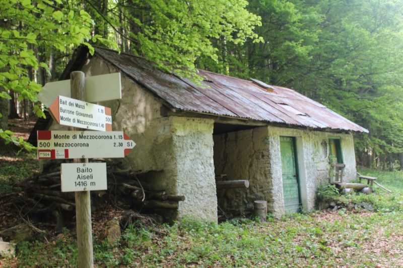 316 da Malga Kraun a Cima&nbsp;Roccapiana