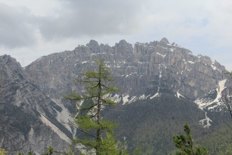 338 alla casera di Col&nbsp;Marsang