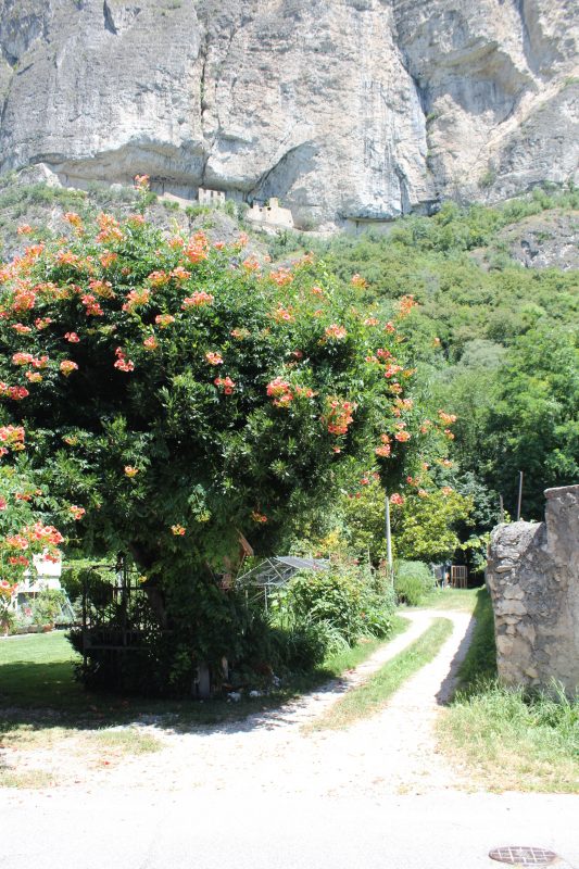 352 Chiuso per&nbsp;Ferie