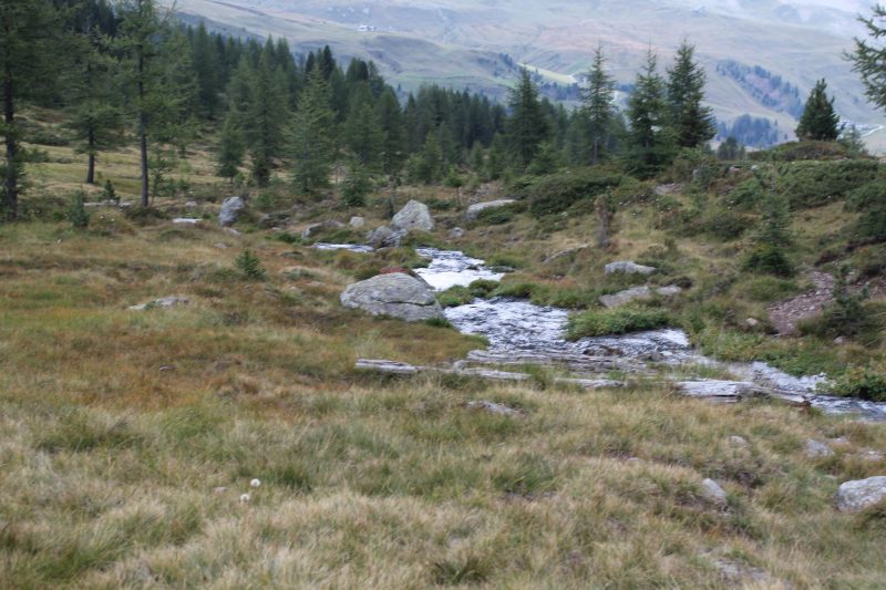 369 La Traccia, Escursioni e&nbsp;Viaggi