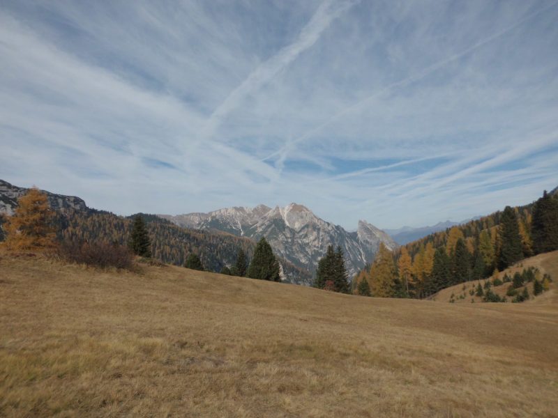 377 Croda Rossa, il Monte&nbsp;Specie