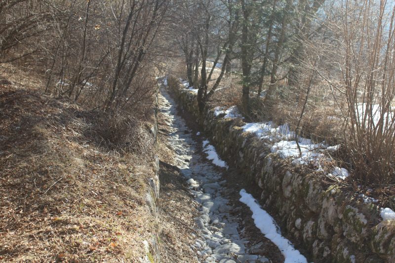 413 Col da Luni&nbsp;(Podenzoi)