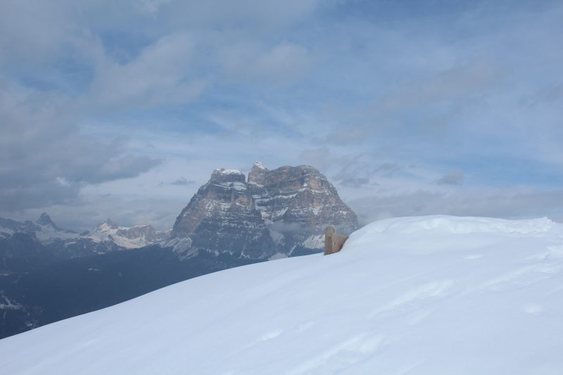 415 Spiz Zuèl o de&nbsp;l’Agnelessa