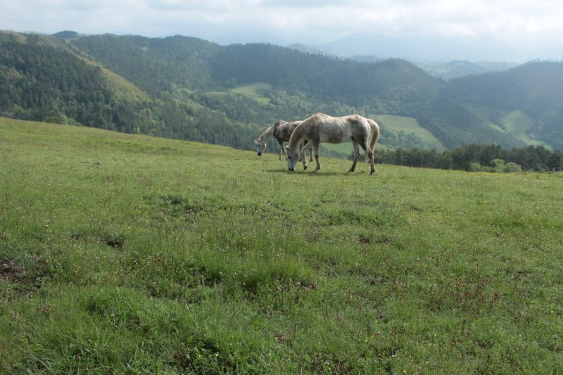 444 Cima Colle&nbsp;d’Anscione