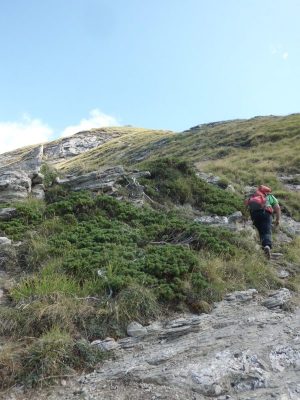 Croce di Voceto Monte Lepri