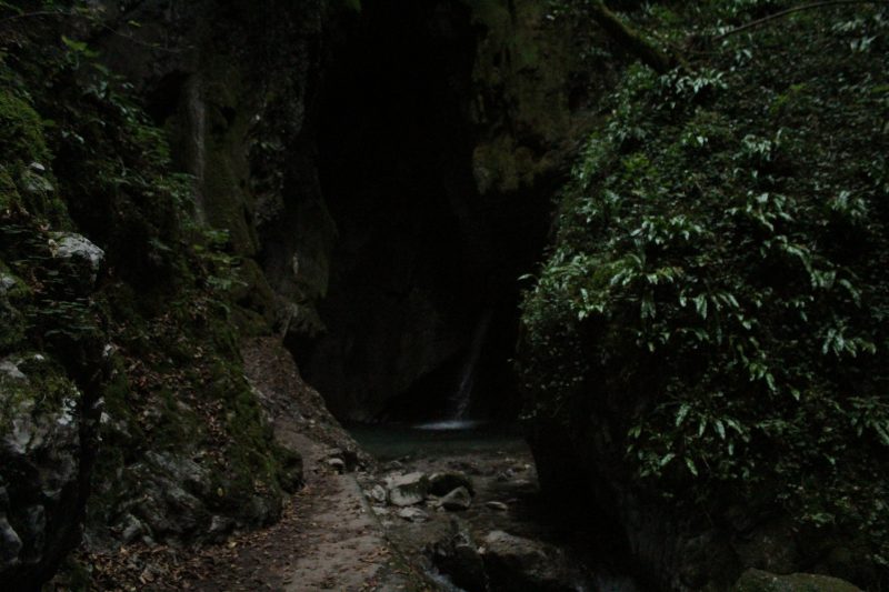 485 Vortice dell’abisso (Gorg&nbsp;d’Abiss)