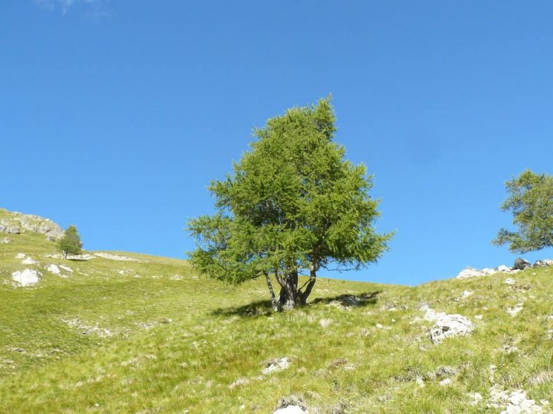 494 statistiche duemila&nbsp;diciannove,