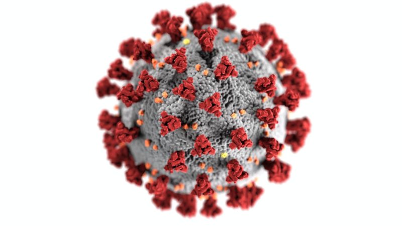 510 COVID-19 (coronavirus)