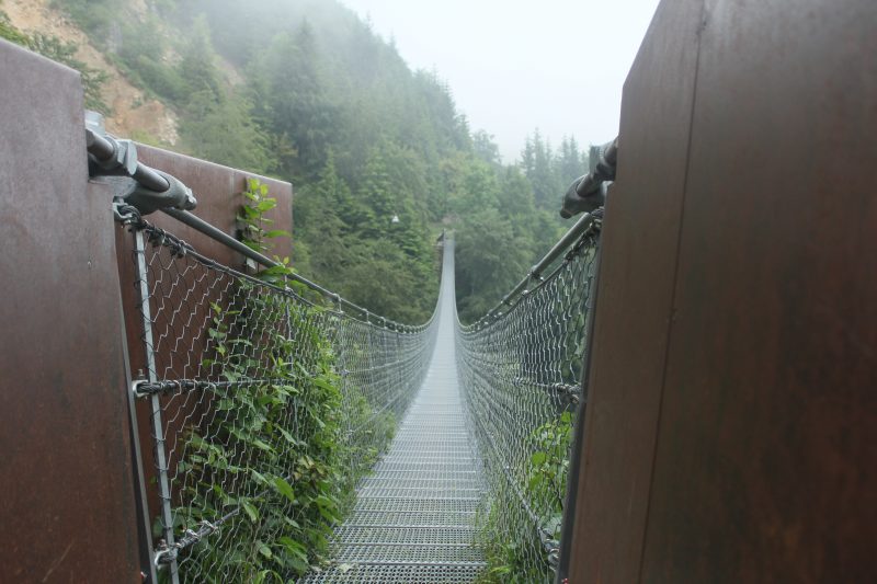 537 Ponte Avis e Anello del Sengio&nbsp;Alto