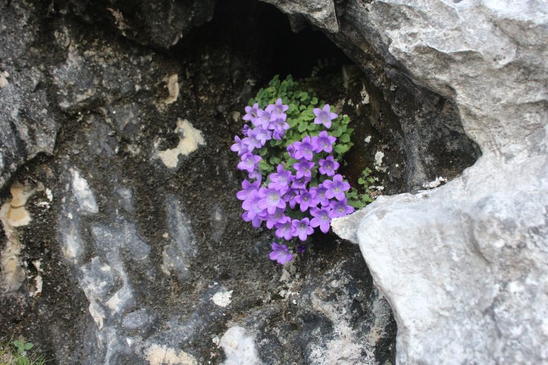 543 Chiuso per&nbsp;Ferie