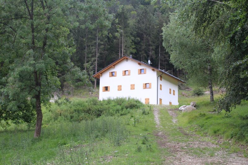 539 La Val Montina e la sua Area&nbsp;Wilderness