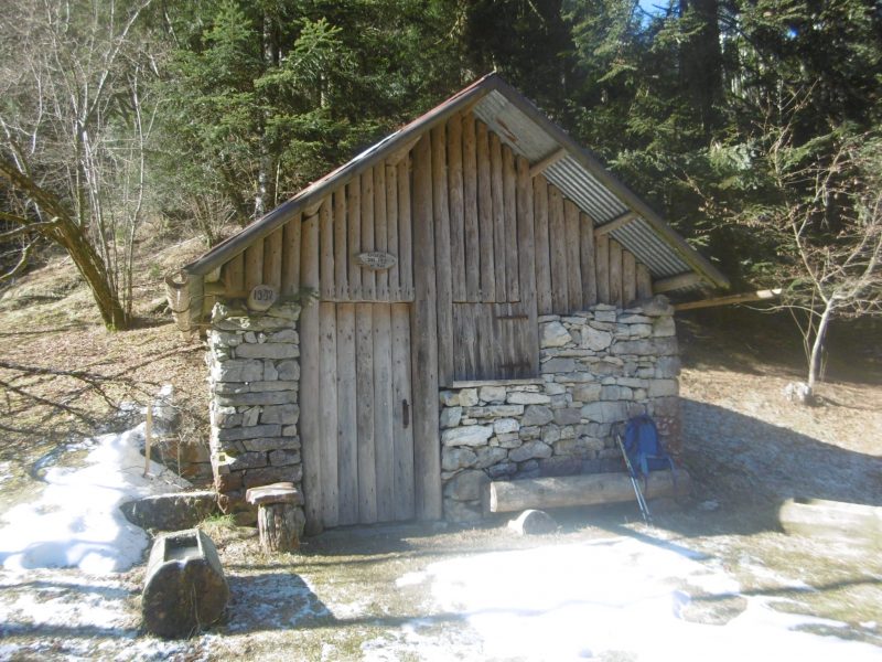 595 Anello casera dei&nbsp;Pez