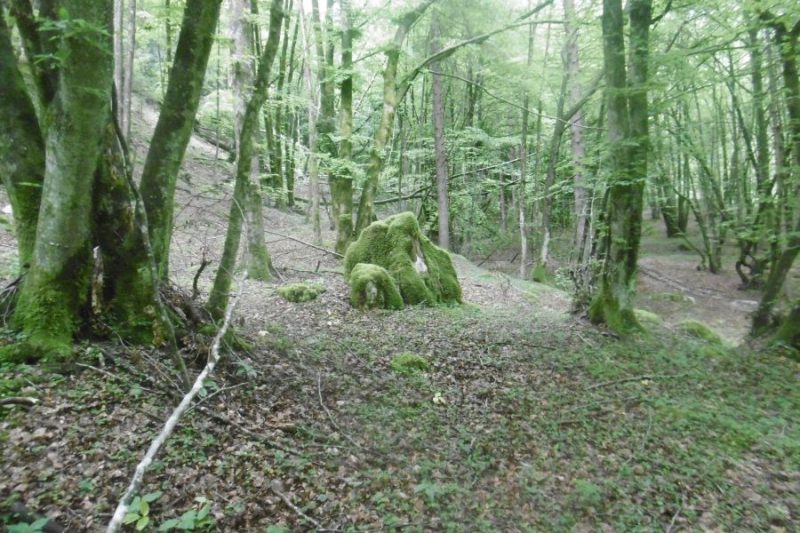 Val di san Martino, Pian dei Violini,
