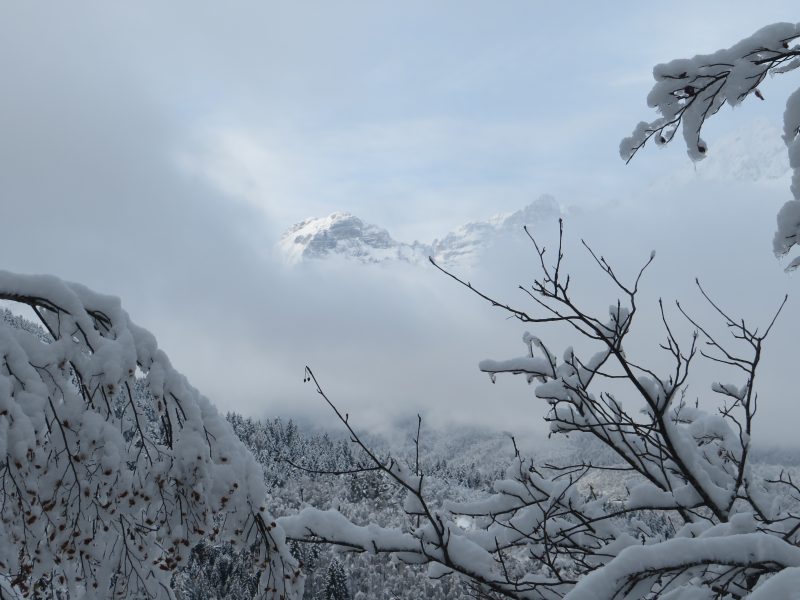 657 l’Inverno e il Natale&nbsp;2021