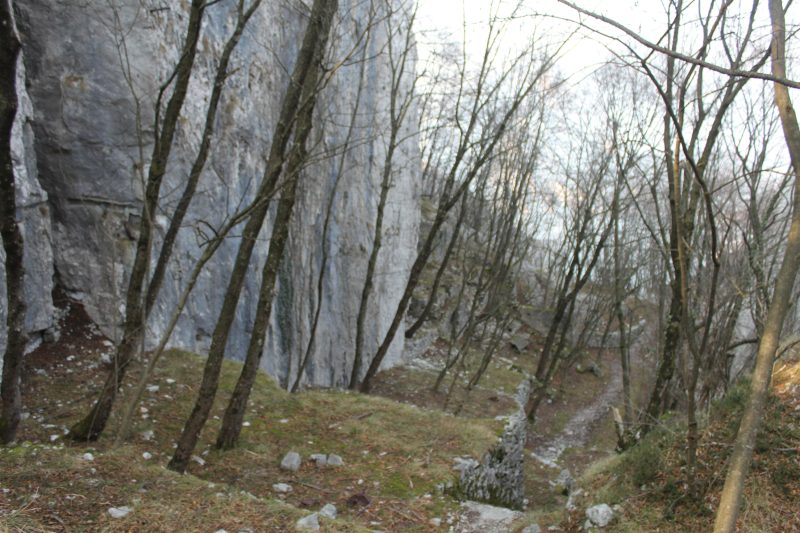 507 da Nago a Malga&nbsp;Zures