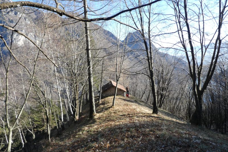 669 Caseròla Belavàl