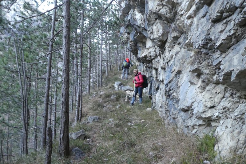 672 Ruderi di Casera&nbsp;Bitti