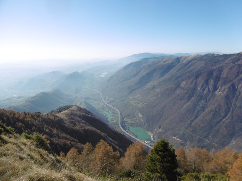 566 da malga Mezzomiglio al “Pizoc”