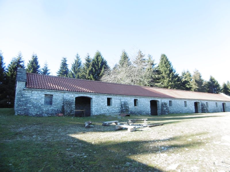 569 da malga Canidi a malga&nbsp;Selvadella