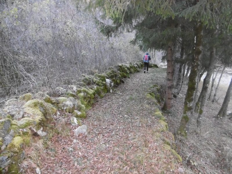 573 Davestra, Le&nbsp;Vare