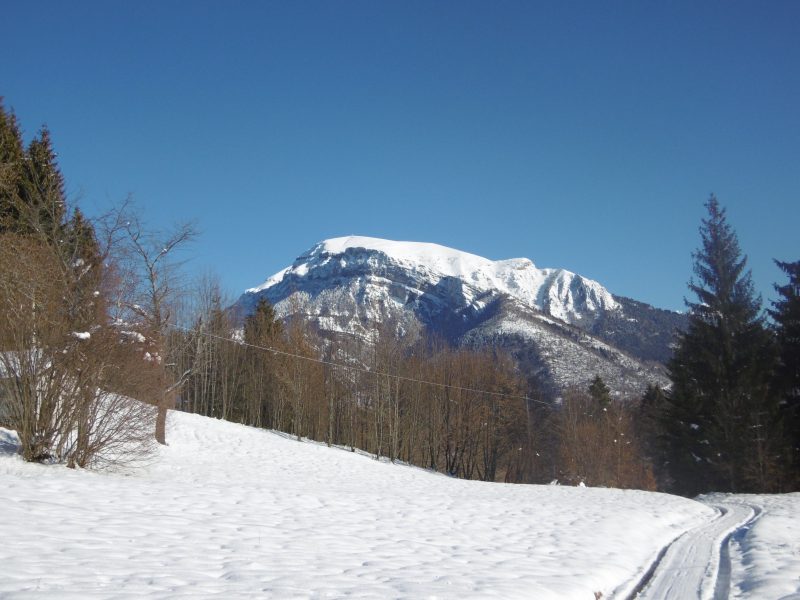 576 Lamon, Valdalanga,&nbsp;Scheid,