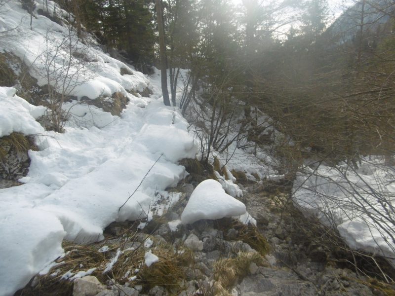 590 Anello Tisoi Pestesure Pian di&nbsp;Regnac