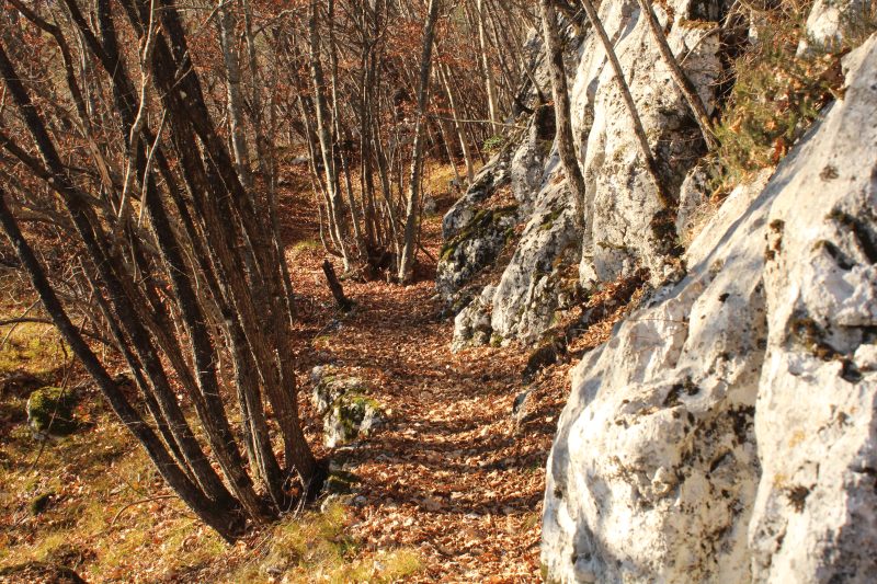 567 Sentiero del&nbsp;Tracciolo