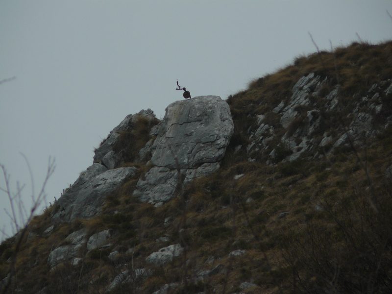 133 a Cima&nbsp;Talvena