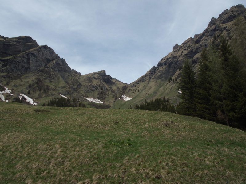 712 da Gares a forcella&nbsp;Stia,