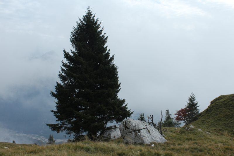 491 Monte Serva Busa dei&nbsp;Vedei