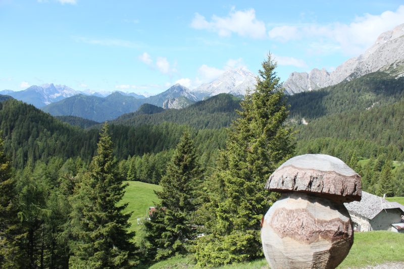 535 Anello Rifugio Ciareido e&nbsp;Baion