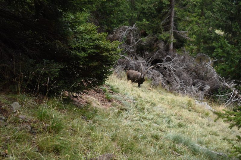 701 l’autunno 23&nbsp;settembre