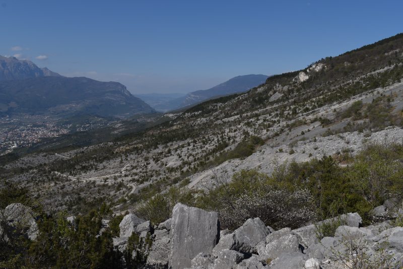 705 Impronte dei&nbsp;dinosauri