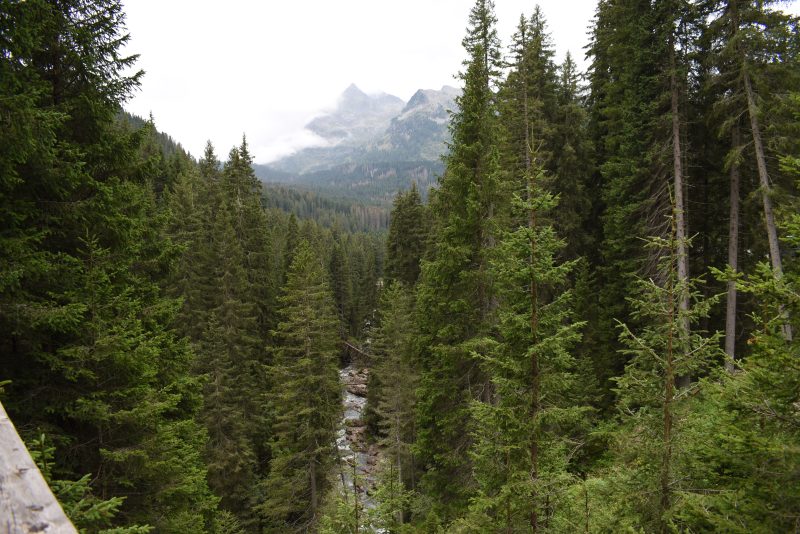 716 21 dicembre, arriva “il General”&nbsp;inverno