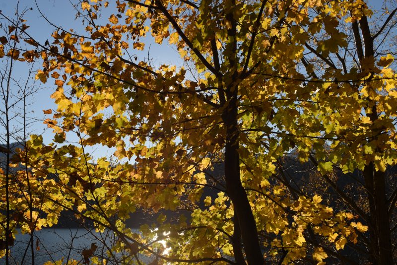 718 statistiche duemila e&nbsp;venti…due