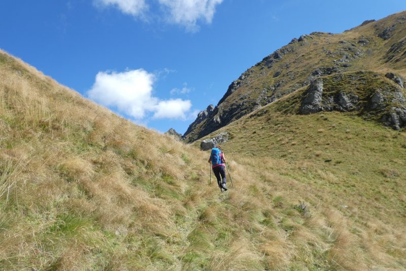 721 Anello Val&nbsp;Franzei